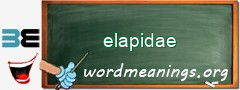 WordMeaning blackboard for elapidae